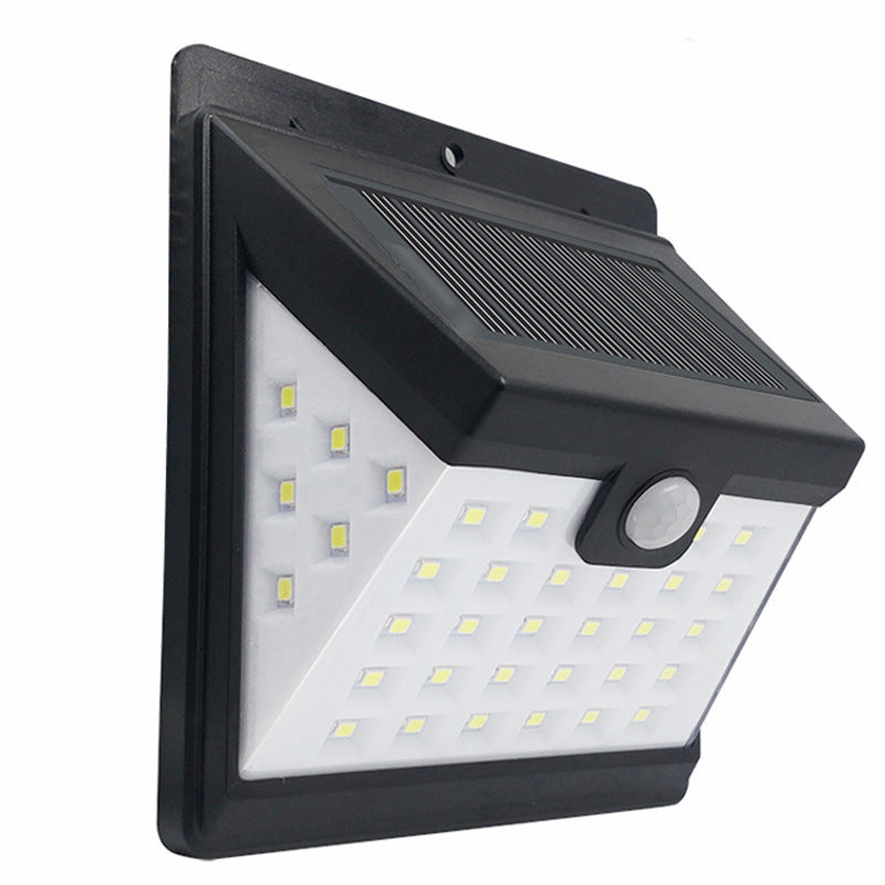 Solar Induction Wall Light