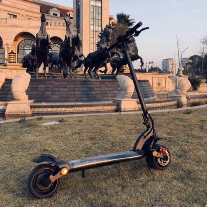 WideTire Folding Dual Scooter