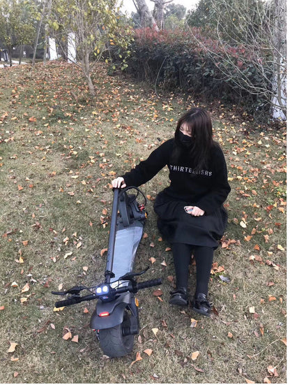 WideTire Folding Dual Scooter